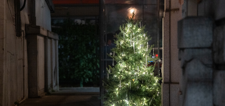 [JOURNAL] EP.4 비밀스러운 프로젝트가 진행 중입니다.