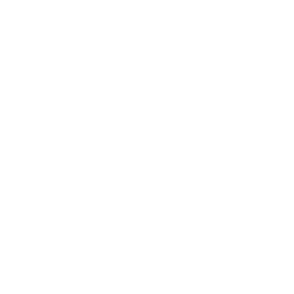 Novice Classic Logo